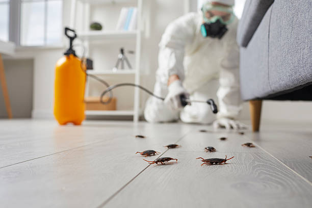 Commercial Kitchen Cockroach Control in Roberts
